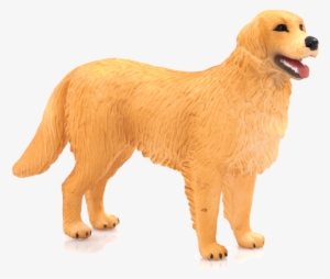 Farmland - Animal Planet: Golden Retriever #712675
