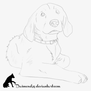 Drawn Golden Retriever Simple - Sketch #713428