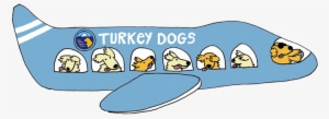 Joining Adopt A Golden Atlanta, Grrr Is Excited To - Turkey Golden Retrievers #713452