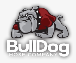Contact Us - Hose #713944