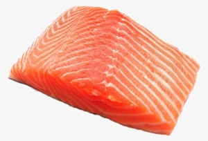 Salmon - Fish Meat Transparent Background - Free Transparent PNG ...