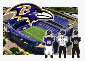 Baltimore Ravens Opponent Of The Tampa Bay Buccaneers - Baltimore Ravens #715269