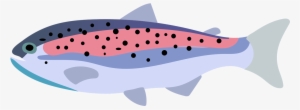 Rainbow Trout Fish Drawing - Vector Graphics #715359