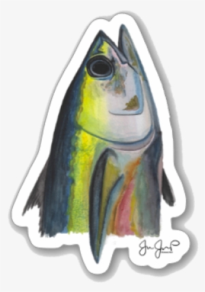 Sockeye Salmon #715455