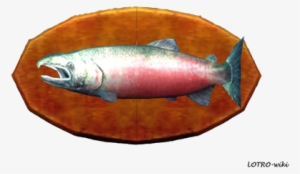 15-pound Salmon Trophy - Sockeye Salmon #715851