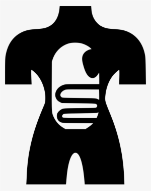 Anatomy Human Body Dissection - Dissection #716113