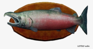 30-pound Salmon Trophy - Sockeye Salmon #716117