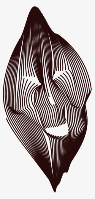 Laughing Lines - Clip Art #716316