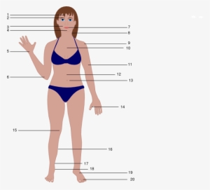 Clip Art Of Body #716384