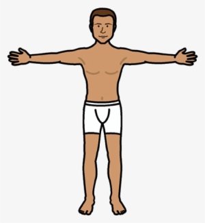 Book Traversal Links For Body - Search Engine #716463