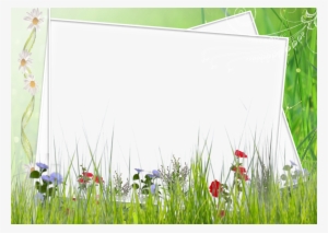 Image Black And White Download Green And White Transparent - Green Flower Borders And Frames #717488