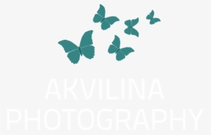 Akvilina Photography - Photography #717724