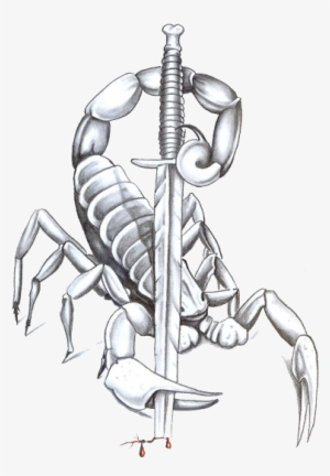Scorpion Tattoos Free Download Png - Diseños De Tatuajes Escorpiones #717815