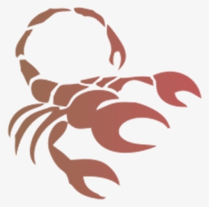 Star Sign Scorpio #718004