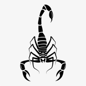 Scorpio Png Image Background - Scorpions Tail Vector #718350