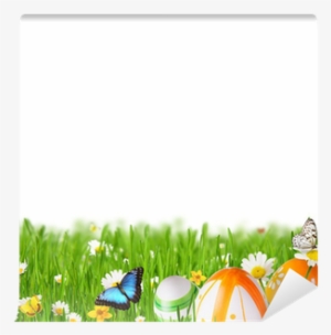 Yelewen 5x7ft Easter Day Eggs Flowers Butterflies Thin #719789 Yelewen 5x7ft Easter Day Eggs Flowers Butterflies Thin #719789