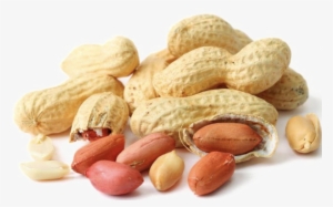Peanut Png Image - Groundnut Png #719959
