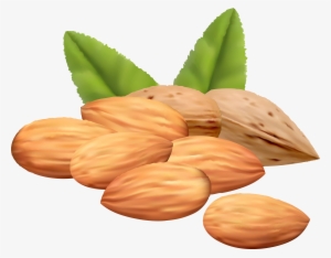 Nut Clipart Cute Borders - Nuts Clipart #719990