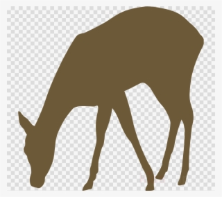 Doe Png #7100286 Doe Png #7100286