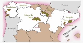 Niso Wine Tours Is Spain's Leading Tourism Operator #7101402