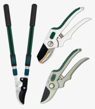 Shears & Loppers #7101547