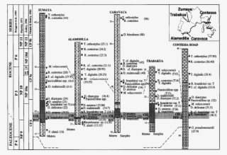 Lithology, Calcareous Nannofossil And Foraminiferal #7101786
