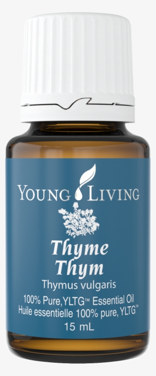 Thyme Essential Oil Archives Ezekiels Tree Healing #7102080