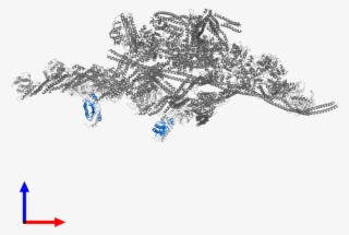 <div Class='caption-body'>pdb Entry 6f1t Contains 4 #7103304