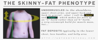 What Is Skinny Fat Syndrome Or A Skinny Fat Ectomorph #7104146 What Is Skinny Fat Syndrome Or A Skinny Fat Ectomorph #7104146