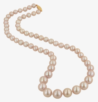 Leave A Reply Cancel Reply #7104596