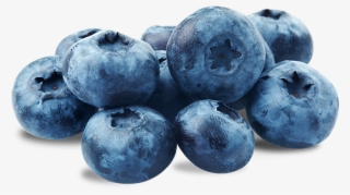 Blue Berry Png #7106028 Blue Berry Png #7106028