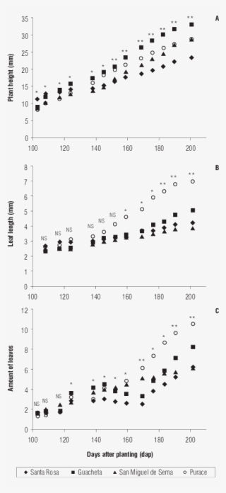 Chronological Development Of The Colombian Blueberry #7106424