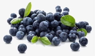 Local Blueberries #7106567