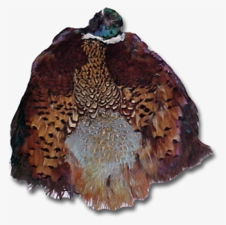 Ringneck Pheasant Skin #7108476