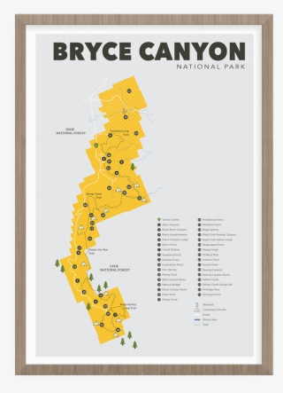 Slick Turtle #7108862