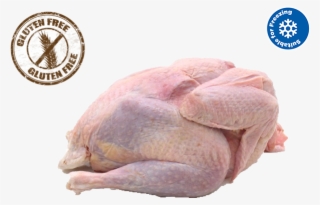 Our Range Typically Includes #7108962 Our Range Typically Includes #7108962