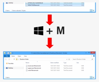 How To Lower Case All File Names In The Active Windows #7110119