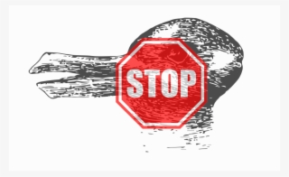 Okay, So Indenting Matters, And That's The Single Biggest #7111917