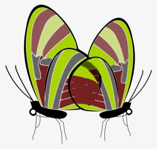 This Png File Is About Butterflies , Papillon , Butterfly #7116086