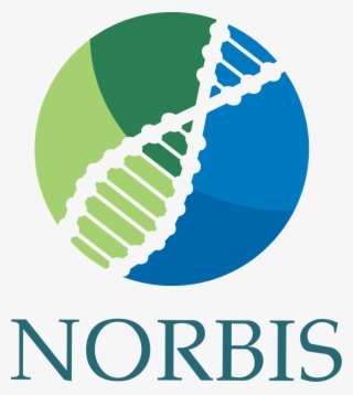 Norbis Logo #7117103 Norbis Logo #7117103