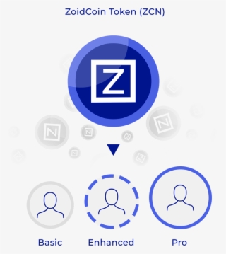 Basic Users Fill In The Mandatory Kyc Data And Also #7120794