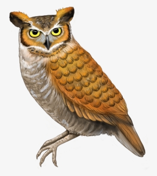 We're #7122274 We're #7122274