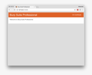 Dev Burp Cert #7126247 Dev Burp Cert #7126247