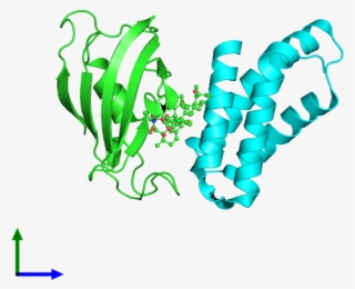 Pdb 3fap Coloured By Chain And Viewed From The Front #7127867