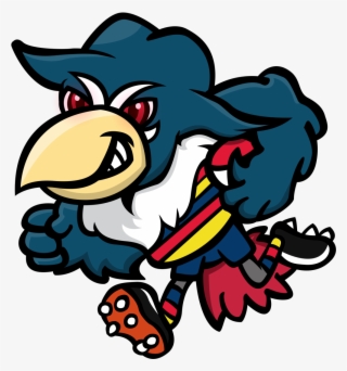 Adelaide Honchkrows #7128578