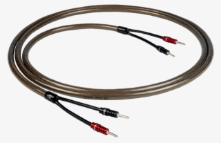 Epic Speaker Cable #7130545