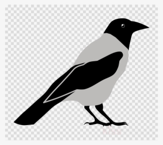 Crow Clipart Eurasian Magpie Clip Art #7139791