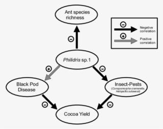Effect Of The Dolichoderine Ant Philidris Sp #7142101