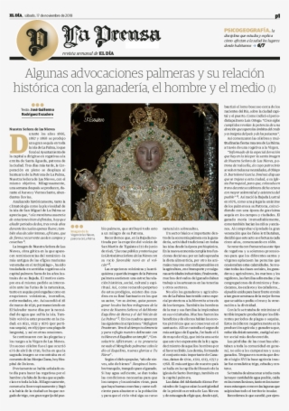 Algunas Advocaciones Palmeras Y Su Relación Histórica #7142608