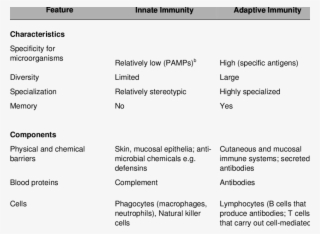 Features Of Innate And Adaptive Immunity A #7145292